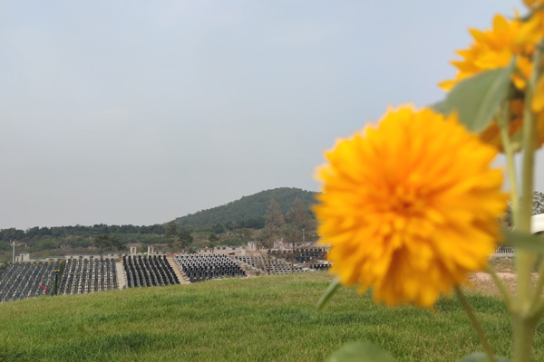 沈阳公墓陵园使用期限和墓地产权是怎么回事？