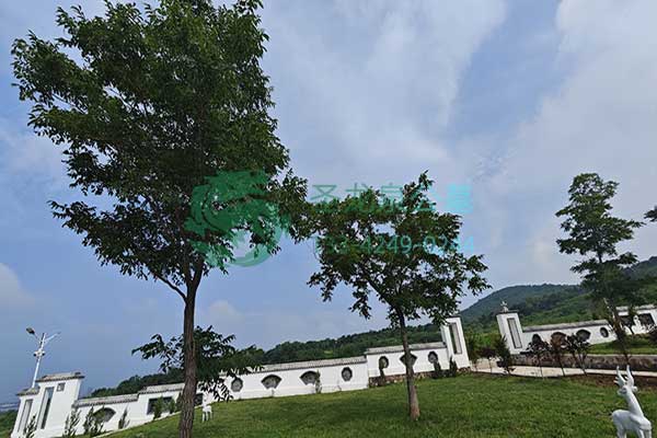 沈阳圣龙泉墓园选购墓地攻略