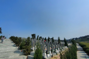 在选购沈阳墓地时，需要注意哪些条件和要求？