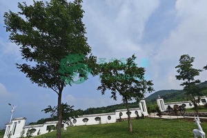 沈阳圣龙泉墓园选购墓地攻略