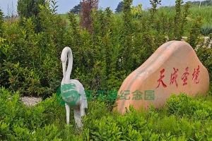 解锁沈阳墓园合理价位，不再为成本担忧