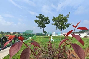 圣龙泉墓园，追忆往昔，守护生命永恒之境