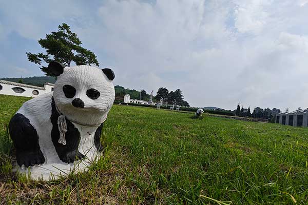 沈阳圣龙泉墓园墓地购买流程详解