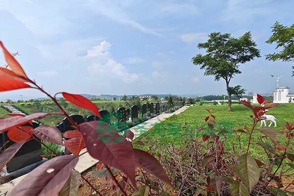 沈阳圣龙泉公墓，追溯岁月足迹，高性价比墓园推荐